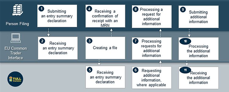 The image describes the procedure for submitting an entry summary declaration. 