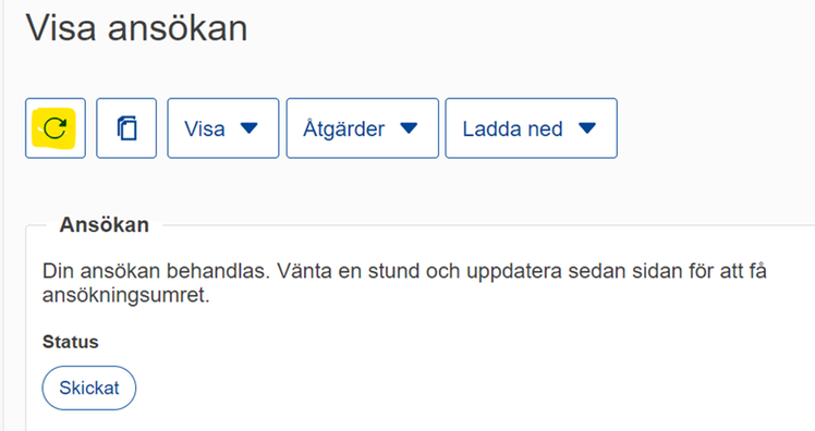 Sidan Visa ansökan i Systemet för tullbeslut, med status Skickad.